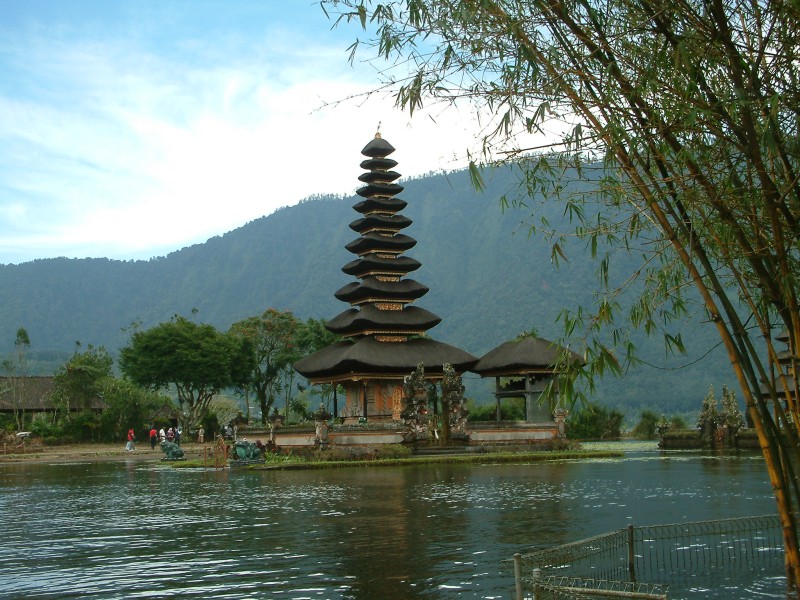 Am ###see
