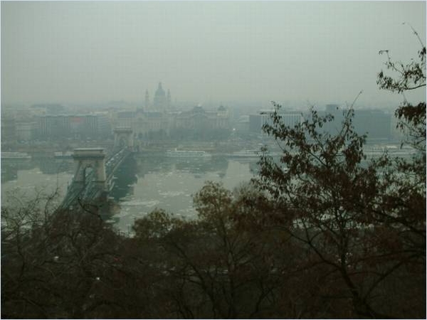 Dunst �ber der winterlichen Donau