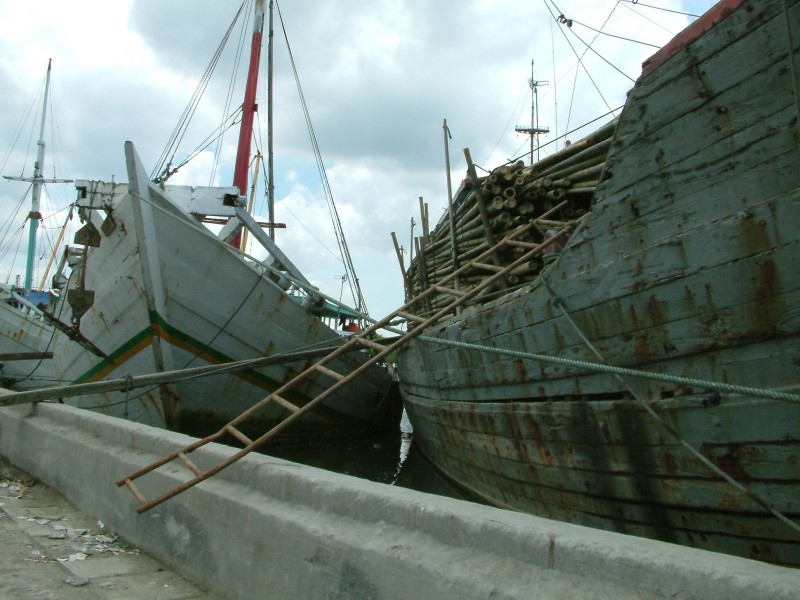 Holzfrachter