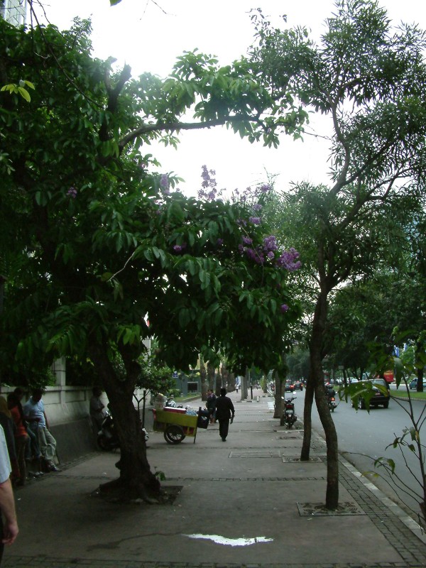 Jalan Stadion Senayan