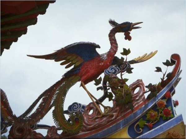 Pfau auf dem Dach