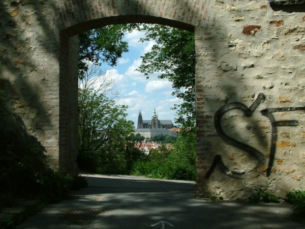 Blick durchs Tor