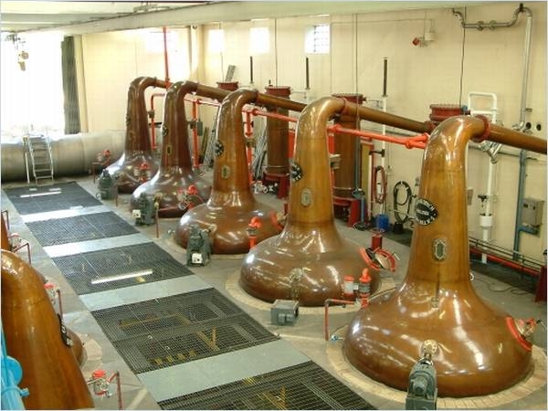 Glenfiddich Distillery