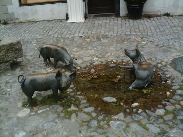 Ferkelchen